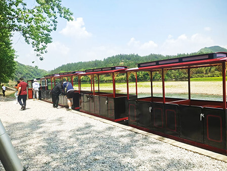 Black-Gold-Train-6 (1)