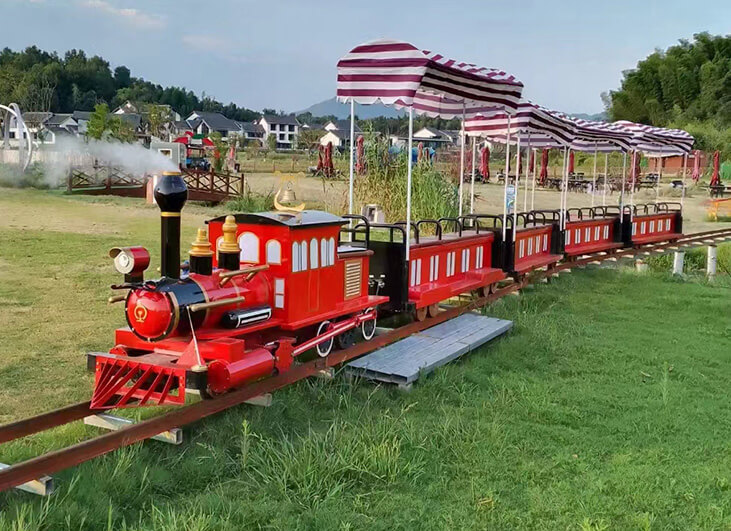 Riding the Joyful Train