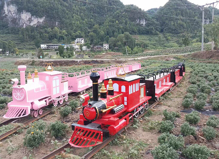 Riding the Joyful Train